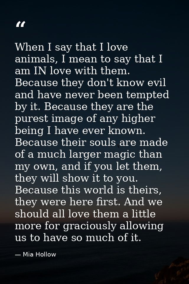 When I say that I love animals, I mean to say that I am IN love with them. Because they don't know evil and have never b — Mia Hollow