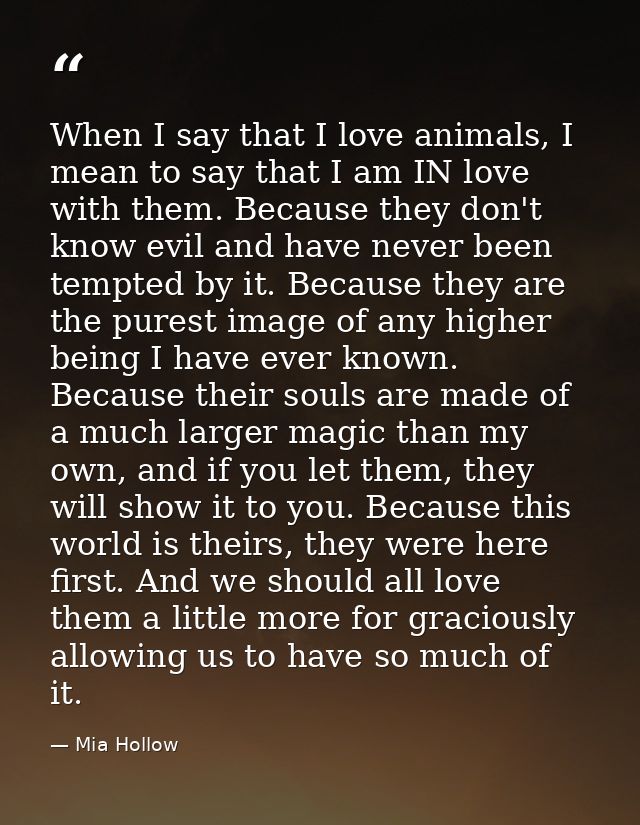 When I say that I love animals, I mean to say that I am IN love with them. Because they don't know evil and have never b — Mia Hollow