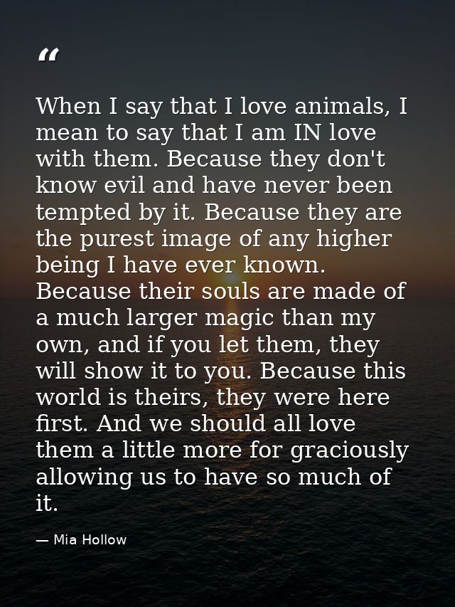 When I say that I love animals, I mean to say that I am IN love with them. Because they don't know evil and have never b — Mia Hollow