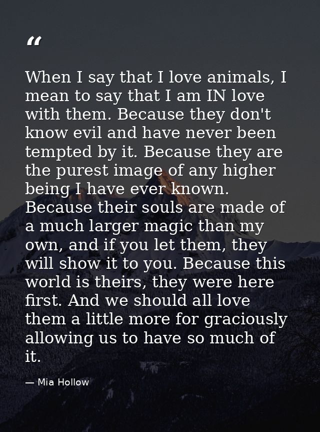When I say that I love animals, I mean to say that I am IN love with them. Because they don't know evil and have never b — Mia Hollow