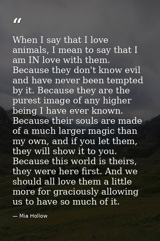 When I say that I love animals, I mean to say that I am IN love with them. Because they don't know evil and have never b — Mia Hollow