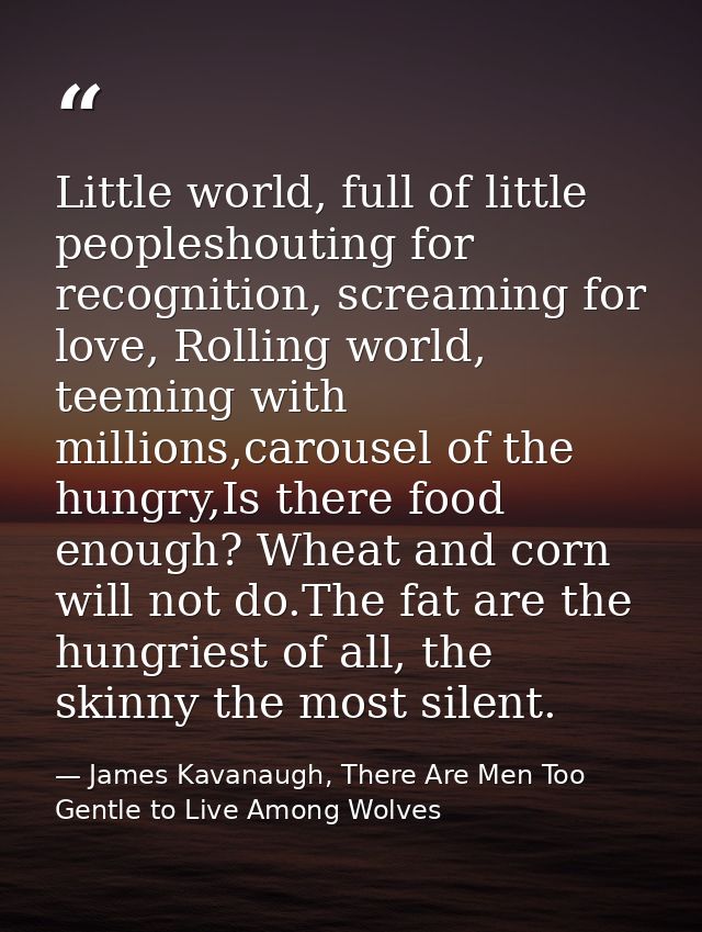 Little world, full of little peopleshouting for recognition, screaming for love, Rolling world, teeming with millions,ca — James Kavanaugh, There Are Men Too Gentle to Live Among Wolves