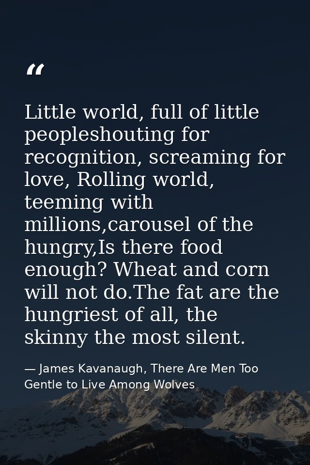 Little world, full of little peopleshouting for recognition, screaming for love, Rolling world, teeming with millions,ca — James Kavanaugh, There Are Men Too Gentle to Live Among Wolves
