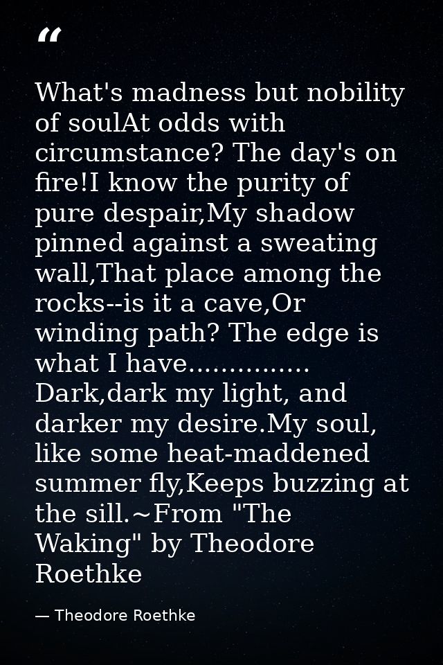 What's madness but nobility of soulAt odds with circumstance? The day's on fire!I know the purity of pure despair,My sha — Theodore Roethke