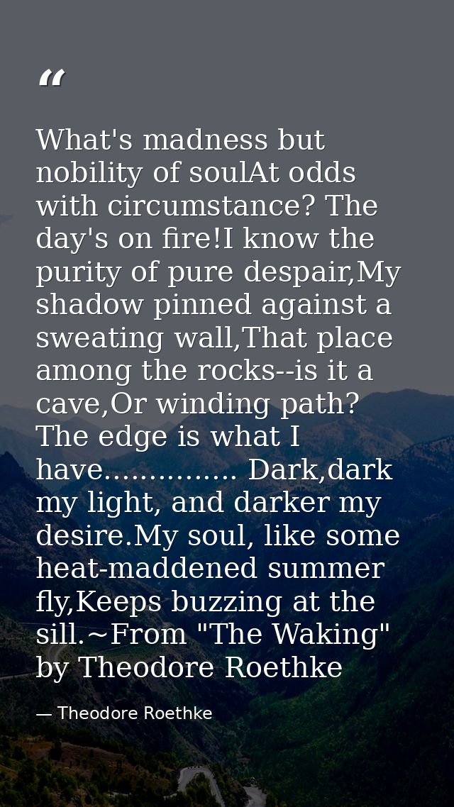 What's madness but nobility of soulAt odds with circumstance? The day's on fire!I know the purity of pure despair,My sha — Theodore Roethke