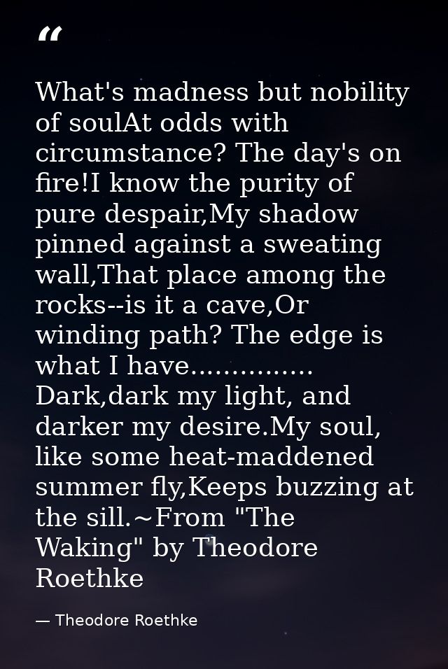 What's madness but nobility of soulAt odds with circumstance? The day's on fire!I know the purity of pure despair,My sha — Theodore Roethke