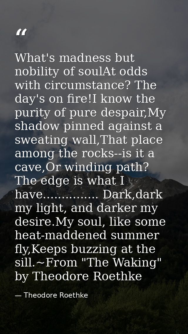 What's madness but nobility of soulAt odds with circumstance? The day's on fire!I know the purity of pure despair,My sha — Theodore Roethke