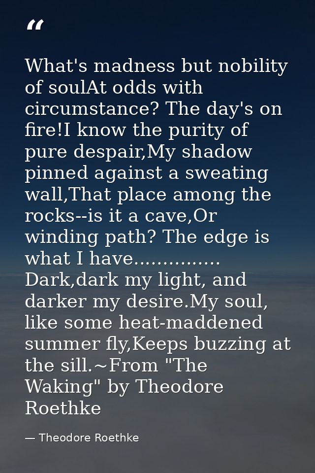 What's madness but nobility of soulAt odds with circumstance? The day's on fire!I know the purity of pure despair,My sha — Theodore Roethke