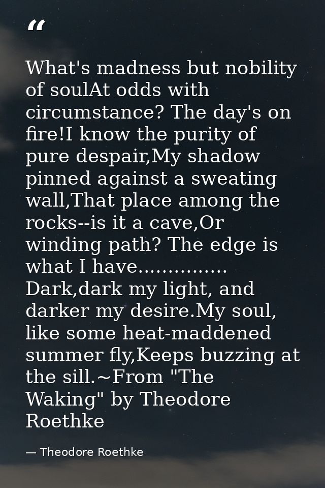 What's madness but nobility of soulAt odds with circumstance? The day's on fire!I know the purity of pure despair,My sha — Theodore Roethke