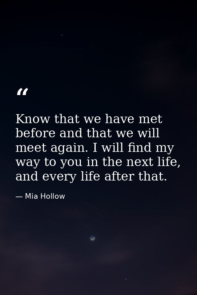 Know that we have met before and that we will meet again. I will find my way to you in the next life, and every life aft — Mia Hollow