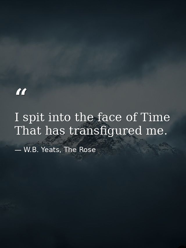 I spit into the face of Time That has transfigured me. — W.B. Yeats, The Rose