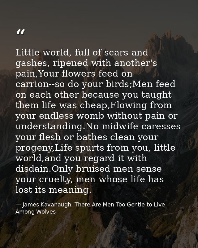 Little world, full of scars and gashes, ripened with another's pain,Your flowers feed on carrion--so do your birds;Men f — James Kavanaugh, There Are Men Too Gentle to Live Among Wolves