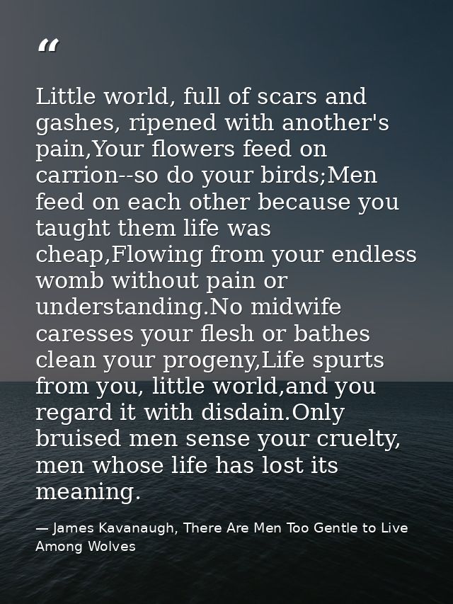 Little world, full of scars and gashes, ripened with another's pain,Your flowers feed on carrion--so do your birds;Men f — James Kavanaugh, There Are Men Too Gentle to Live Among Wolves