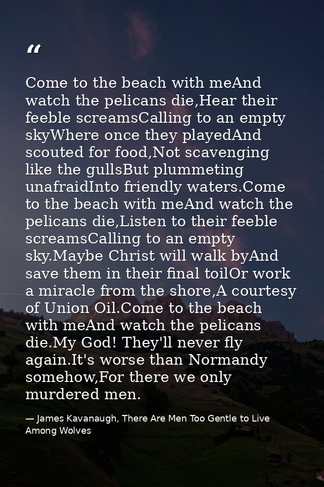 Come to the beach with meAnd watch the pelicans die,Hear their feeble screamsCalling to an empty skyWhere once they play — James Kavanaugh, There Are Men Too Gentle to Live Among Wolves
