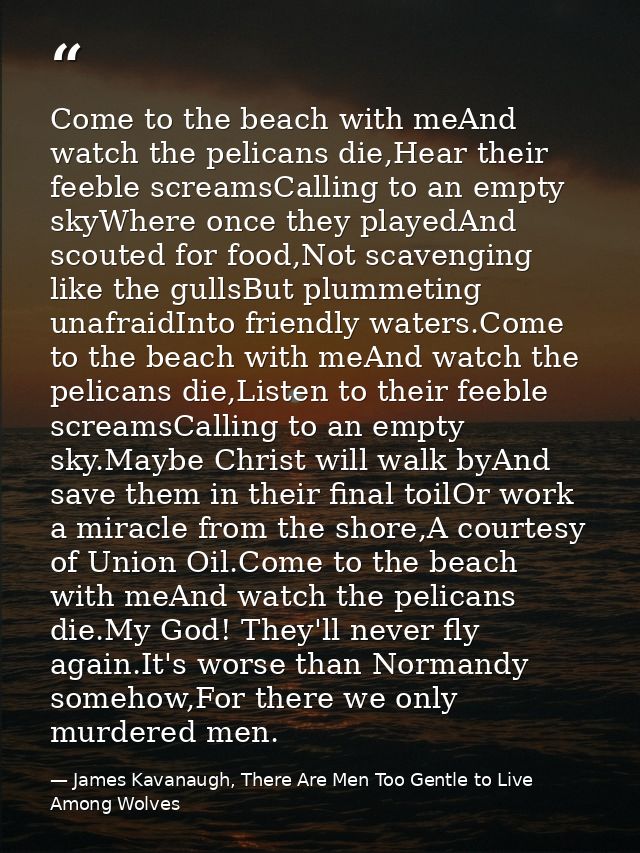Come to the beach with meAnd watch the pelicans die,Hear their feeble screamsCalling to an empty skyWhere once they play — James Kavanaugh, There Are Men Too Gentle to Live Among Wolves