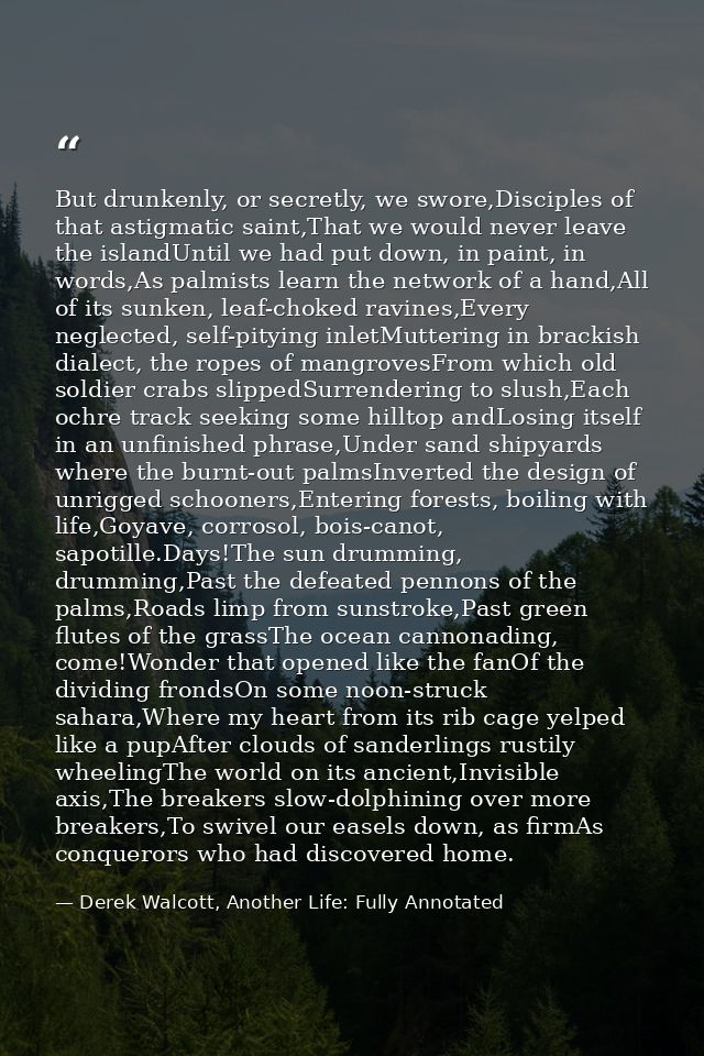 But drunkenly, or secretly, we swore,Disciples of that astigmatic saint,That we would never leave the islandUntil we had — Derek Walcott, Another Life: Fully Annotated