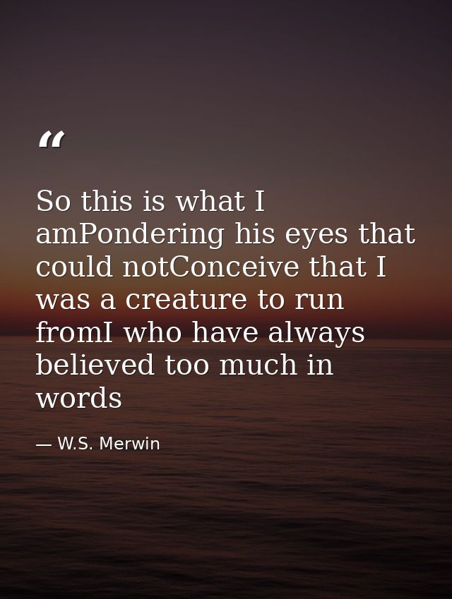 So this is what I amPondering his eyes that could notConceive that I was a creature to run fromI who have always believe — W.S. Merwin