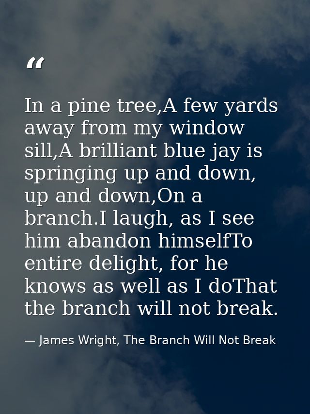 In a pine tree,A few yards away from my window sill,A brilliant blue jay is springing up and down, up and down,On a bran — James Wright, The Branch Will Not Break