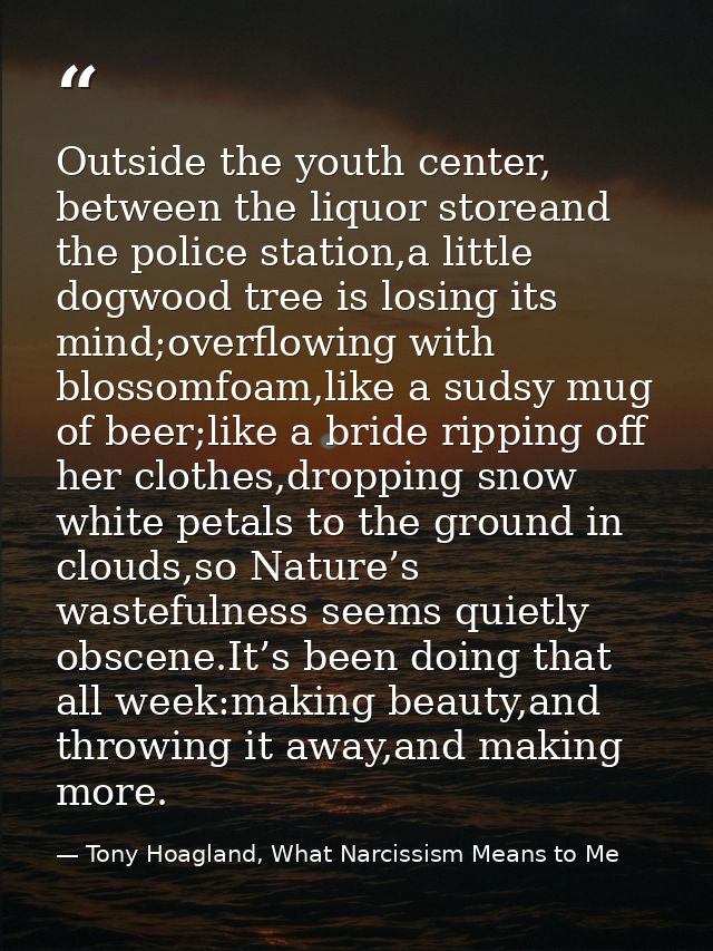 Outside the youth center, between the liquor storeand the police station,a little dogwood tree is losing its mind;overfl — Tony Hoagland, What Narcissism Means to Me