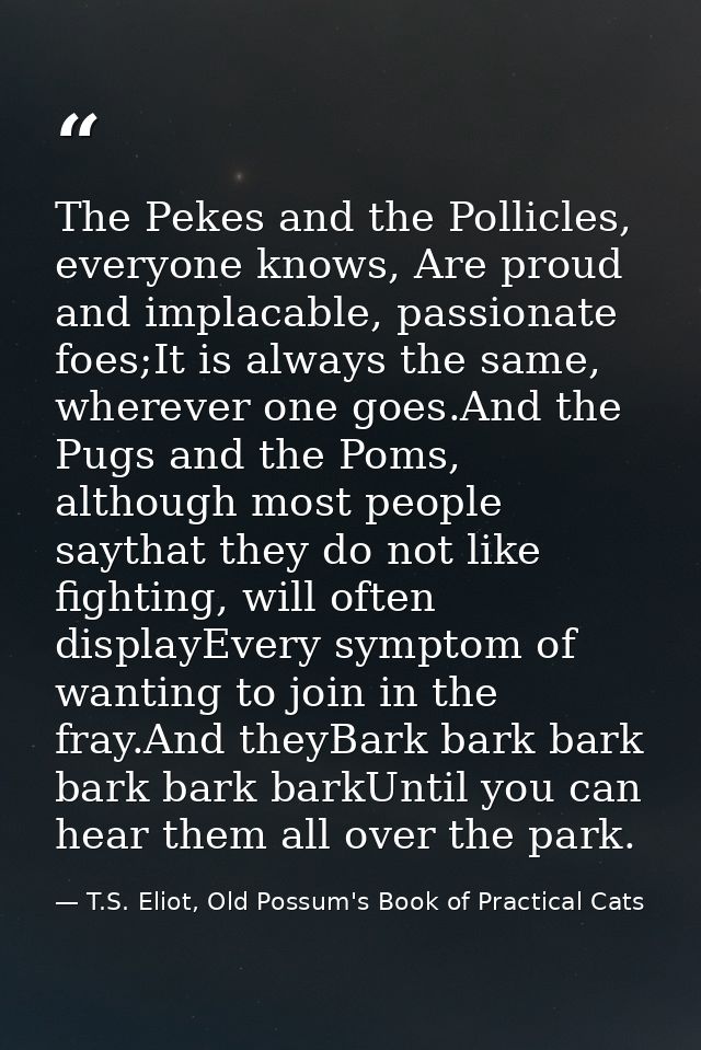 The Pekes and the Pollicles, everyone knows, Are proud and implacable, passionate foes;It is always the same, wherever o — T.S. Eliot, Old Possum's Book of Practical Cats