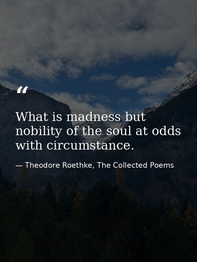 What is madness but nobility of the soul at odds with circumstance. — Theodore Roethke, The Collected Poems