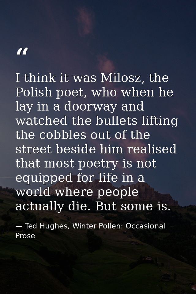 I think it was Milosz, the Polish poet, who when he lay in a doorway and watched the bullets lifting the cobbles out of  — Ted Hughes, Winter Pollen: Occasional Prose