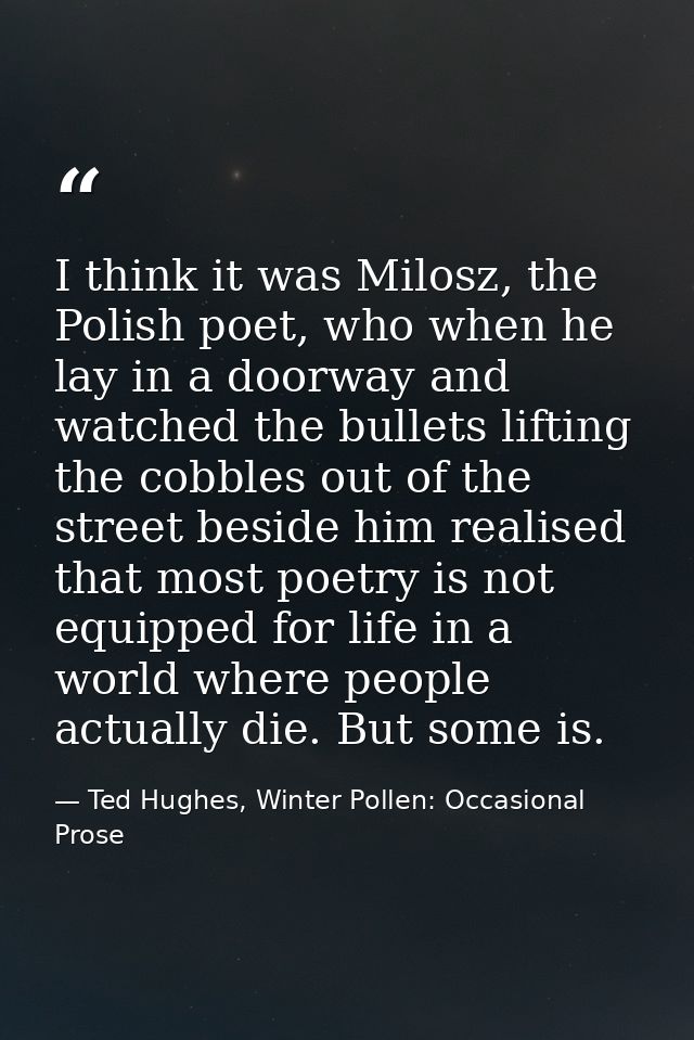 I think it was Milosz, the Polish poet, who when he lay in a doorway and watched the bullets lifting the cobbles out of  — Ted Hughes, Winter Pollen: Occasional Prose