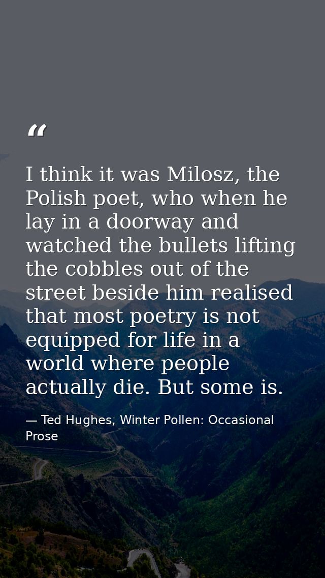 I think it was Milosz, the Polish poet, who when he lay in a doorway and watched the bullets lifting the cobbles out of  — Ted Hughes, Winter Pollen: Occasional Prose