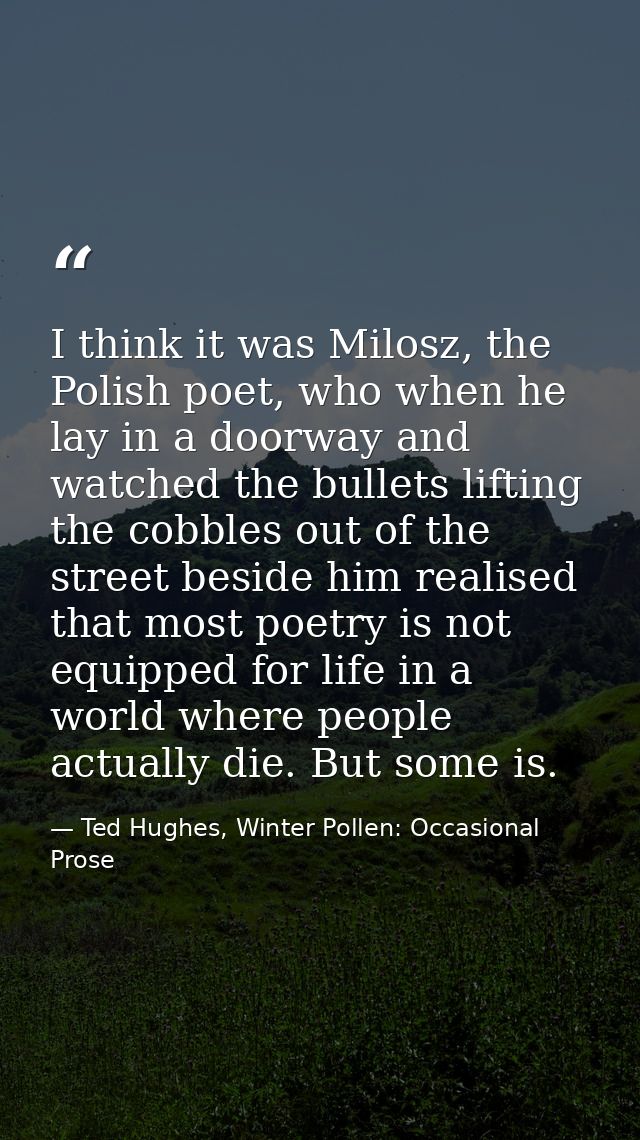 I think it was Milosz, the Polish poet, who when he lay in a doorway and watched the bullets lifting the cobbles out of  — Ted Hughes, Winter Pollen: Occasional Prose