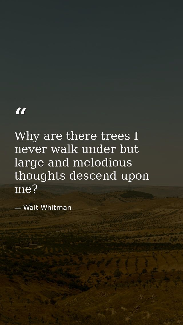 Why are there trees I never walk under but large and melodious thoughts descend upon me? — Walt Whitman