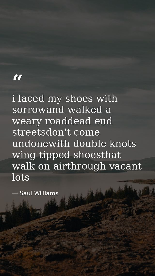 i laced my shoes with sorrowand walked a weary roaddead end streetsdon't come undonewith double knots wing tipped shoest — Saul Williams