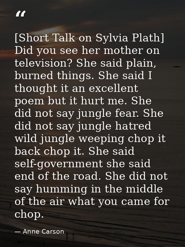 [Short Talk on Sylvia Plath] Did you see her mother on television? She said plain, burned things. She said I thought it  — Anne Carson