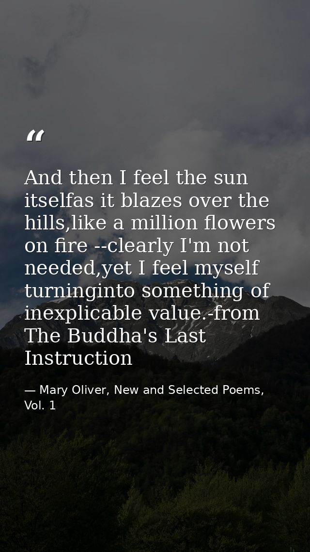 And then I feel the sun itselfas it blazes over the hills,like a million flowers on fire --clearly I'm not needed,yet I  — Mary Oliver, New and Selected Poems, Vol. 1
