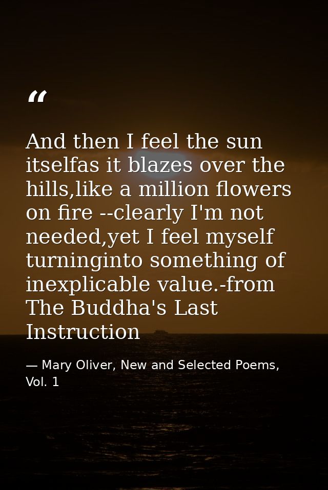 And then I feel the sun itselfas it blazes over the hills,like a million flowers on fire --clearly I'm not needed,yet I  — Mary Oliver, New and Selected Poems, Vol. 1