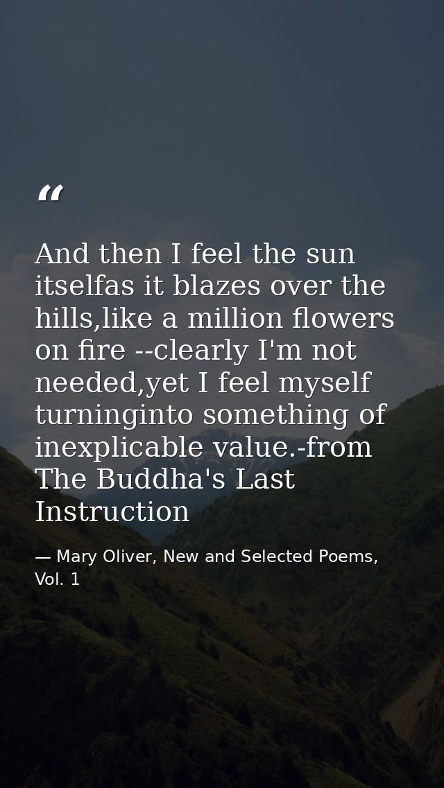 And then I feel the sun itselfas it blazes over the hills,like a million flowers on fire --clearly I'm not needed,yet I  — Mary Oliver, New and Selected Poems, Vol. 1