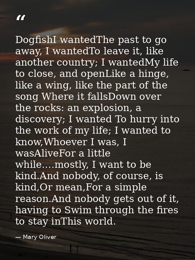 DogfishI wantedThe past to go away, I wantedTo leave it, like another country; I wantedMy life to close, and openLike a  — Mary Oliver