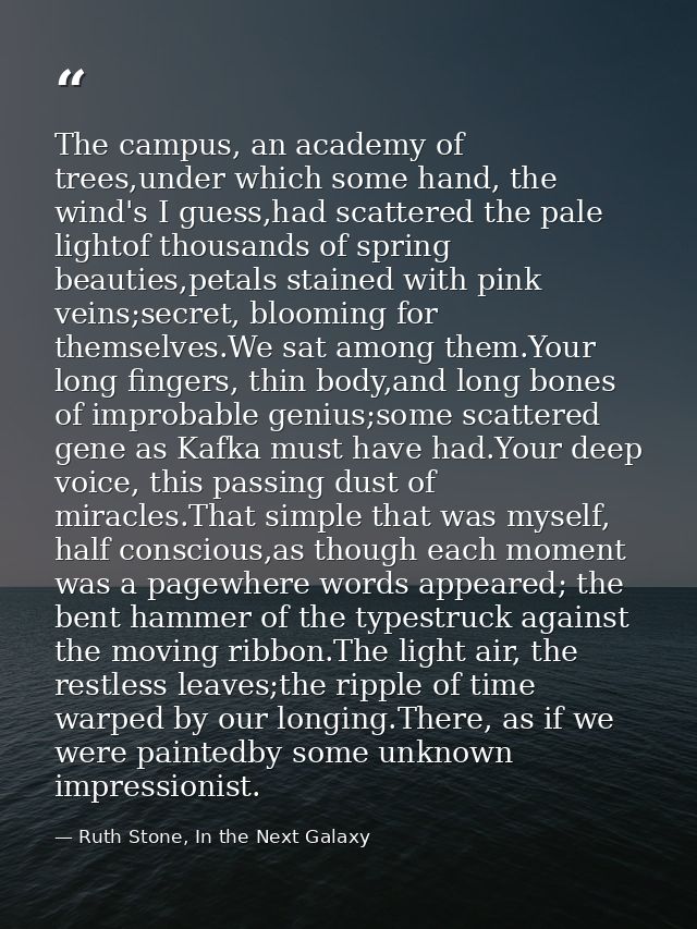 The campus, an academy of trees,under which some hand, the wind's I guess,had scattered the pale lightof thousands of sp — Ruth Stone, In the Next Galaxy