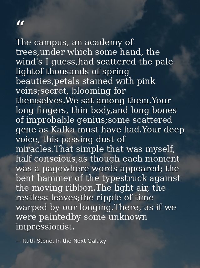 The campus, an academy of trees,under which some hand, the wind's I guess,had scattered the pale lightof thousands of sp — Ruth Stone, In the Next Galaxy