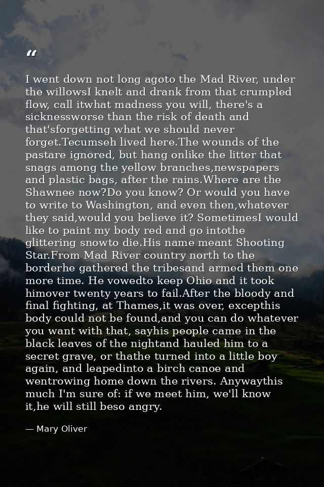 I went down not long agoto the Mad River, under the willowsI knelt and drank from that crumpled flow, call itwhat madnes — Mary Oliver