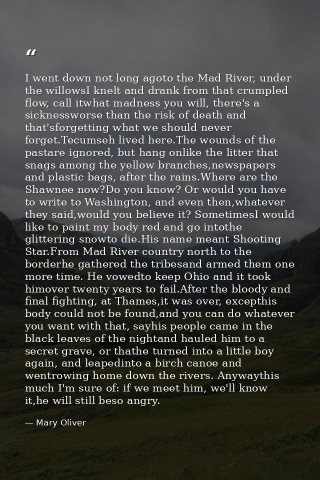 I went down not long agoto the Mad River, under the willowsI knelt and drank from that crumpled flow, call itwhat madnes — Mary Oliver