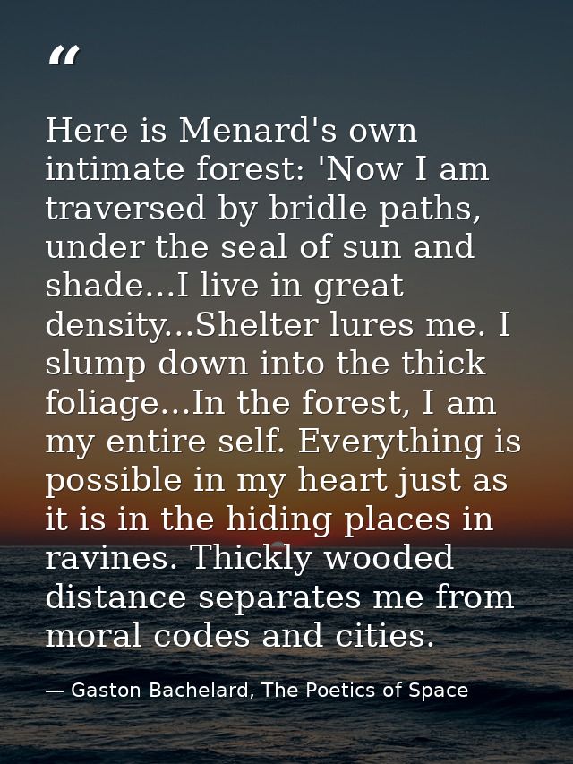 Here is Menard's own intimate forest: 'Now I am traversed by bridle paths, under the seal of sun and shade...I live in g — Gaston Bachelard, The Poetics of Space