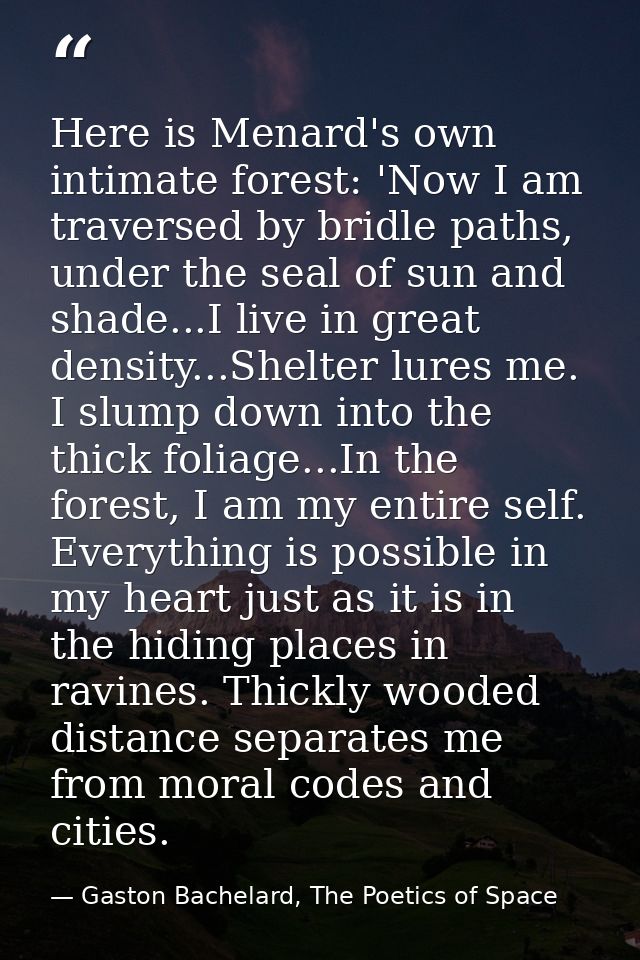 Here is Menard's own intimate forest: 'Now I am traversed by bridle paths, under the seal of sun and shade...I live in g — Gaston Bachelard, The Poetics of Space