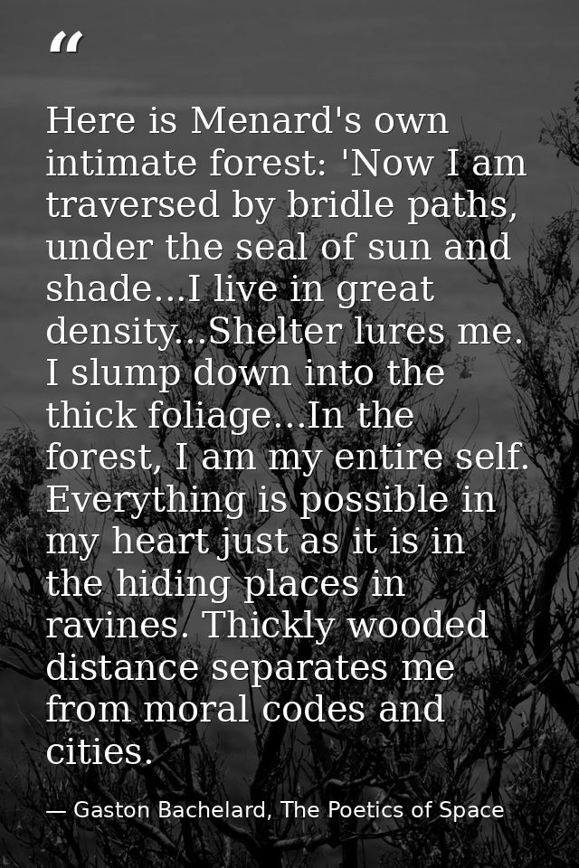 Here is Menard's own intimate forest: 'Now I am traversed by bridle paths, under the seal of sun and shade...I live in g — Gaston Bachelard, The Poetics of Space