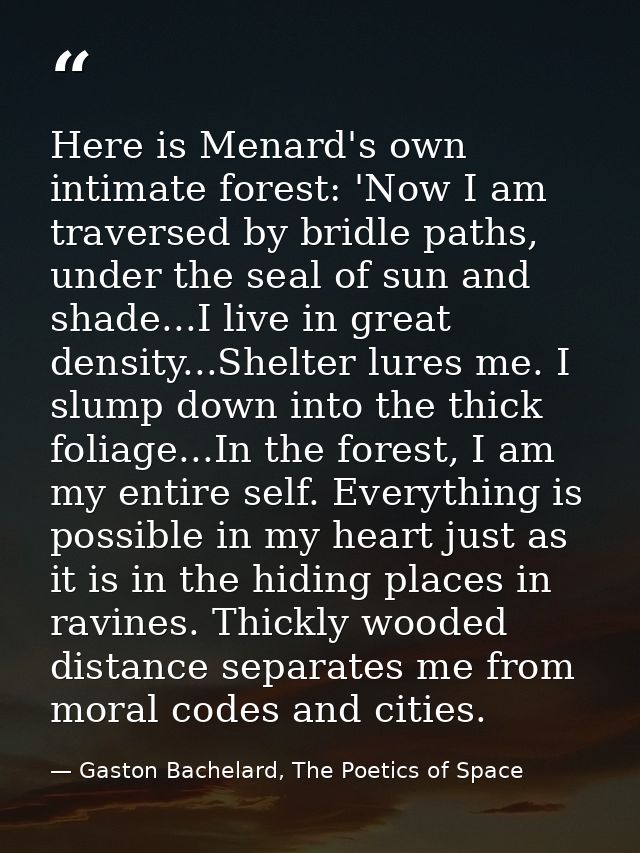 Here is Menard's own intimate forest: 'Now I am traversed by bridle paths, under the seal of sun and shade...I live in g — Gaston Bachelard, The Poetics of Space
