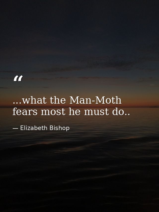 ...what the Man-Moth fears most he must do.. — Elizabeth Bishop