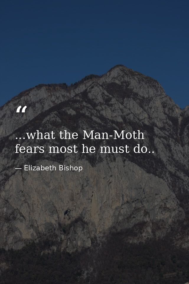 ...what the Man-Moth fears most he must do.. — Elizabeth Bishop