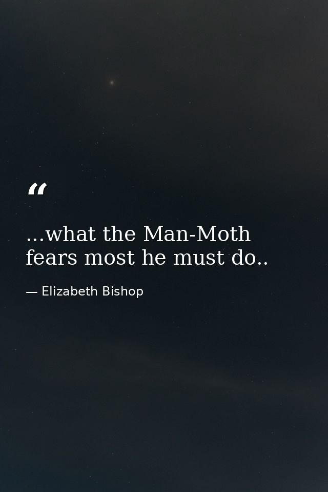 ...what the Man-Moth fears most he must do.. — Elizabeth Bishop