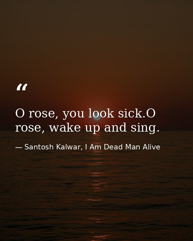 O rose, you look sick.O rose, wake up and sing. — Santosh Kalwar, I Am Dead Man Alive