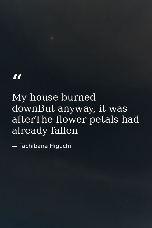 My house burned downBut anyway, it was afterThe flower petals had already fallen — Tachibana Higuchi