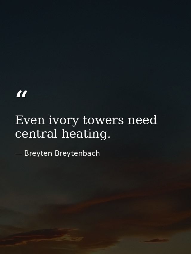 Even ivory towers need central heating. — Breyten Breytenbach